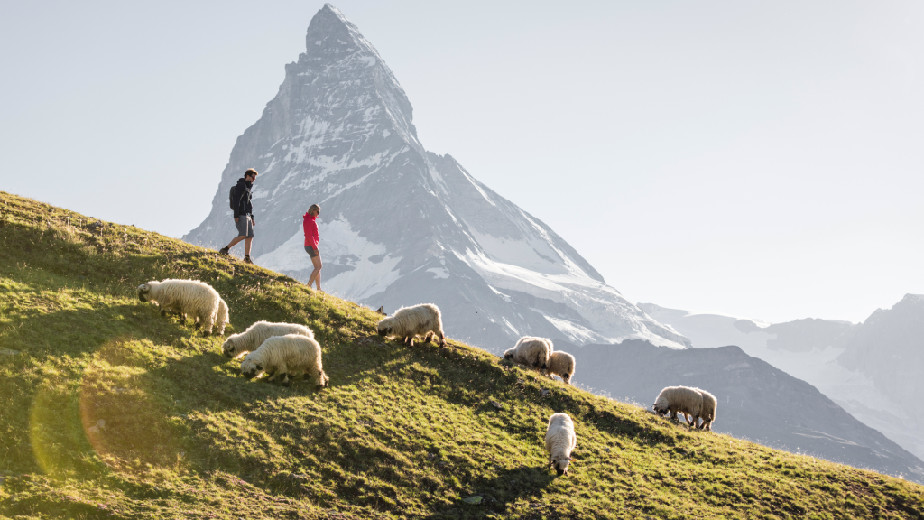 top-10-summer-activities-in-zermatt-our-ultimate-guide